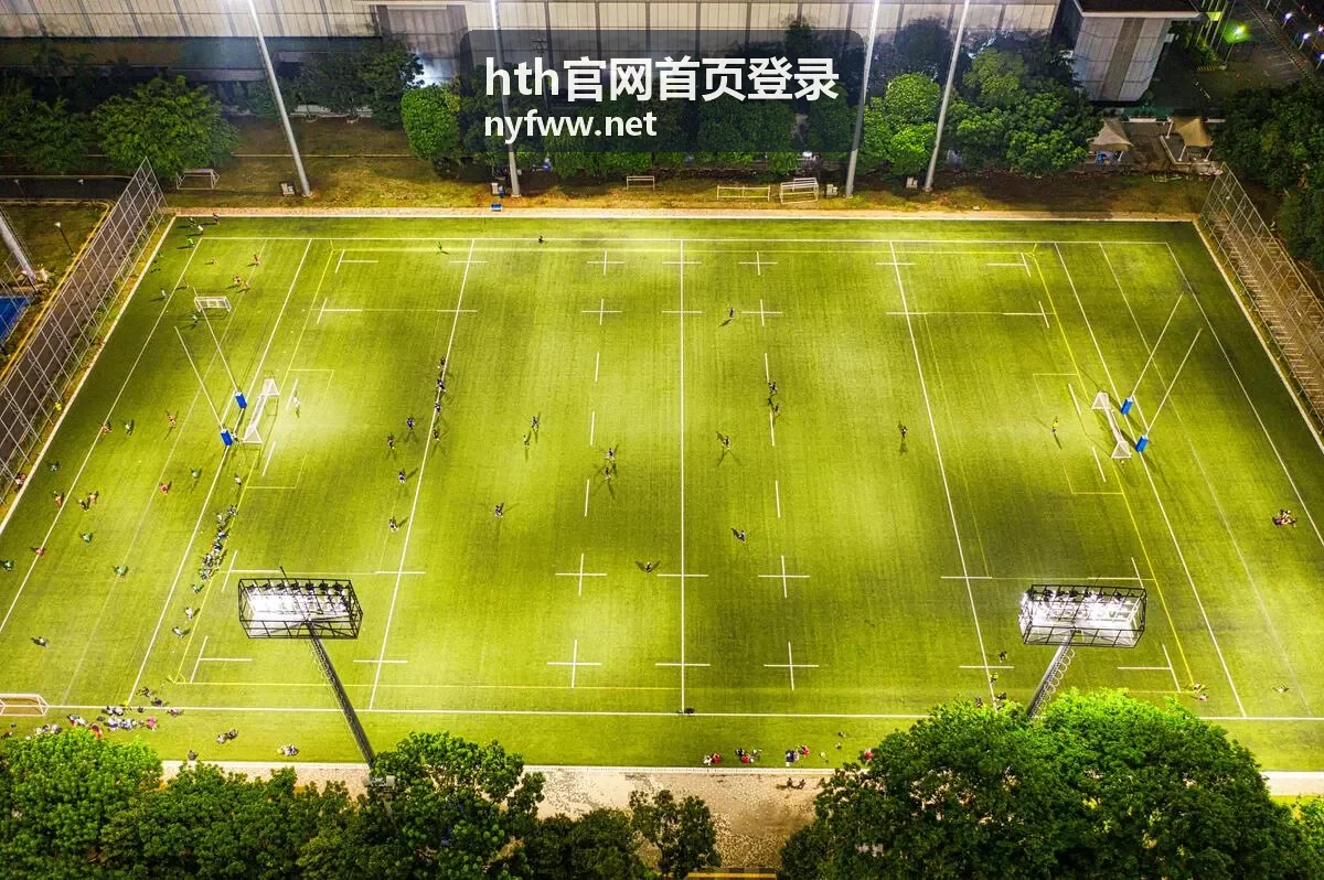 hth官网首页登录入口按钮位置示意
