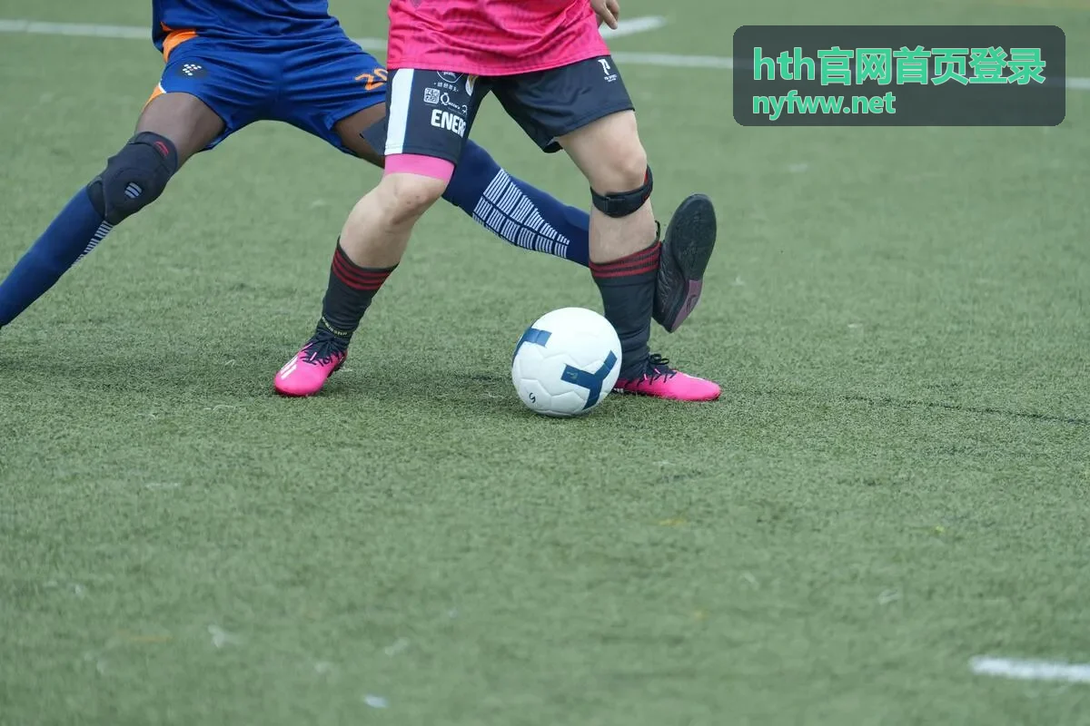 hth官网首页登录成功后状态确认示意